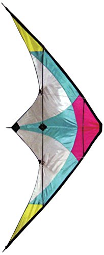 Stunt Kite - 120 x 60 cm double ligne Kite - Haute Flying Kite avec panneau coloré Motif - STUNT cerfs-volants pour loisirs en extérieur - Double ligne Stunt cerfs-volants - populaire d'entrée de gamme Stunt Kite