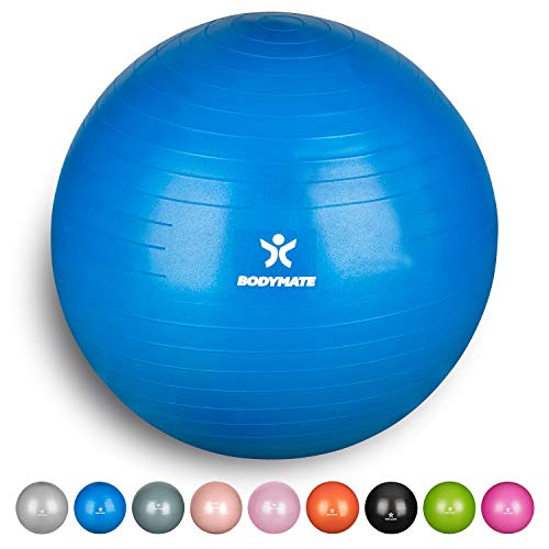 BODYMATE Ballon Fitness + Pompe Incluse + E-Book Gratuit - 55cm - Bleu