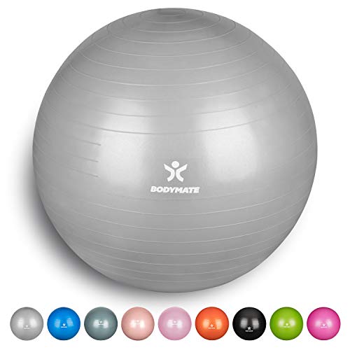 BODYMATE Ballon Fitness + Pompe Incluse + E-Book Gratuit - 65cm - Argent