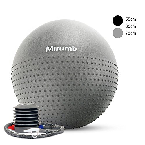 Mirumb Ballon de Fitness 65 cm avec Pompe-Balle de Pilates-Ballon de Gym,Ballon de Fitness-Yoga,Pilates