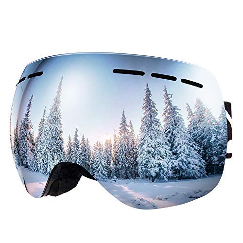 Bfull Detachable Ski Goggles