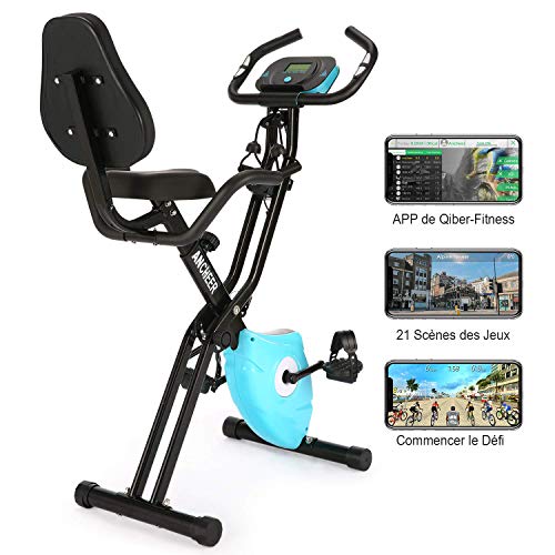 Profun Vélo d'Appartement Pliable avec Jeu de Simulation APP &10 Niveaux de Resistance magnétique, Vélo d'Exercice Fitness avec Support pour Tablette & Siège Large et Confortable