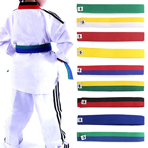 Lunji Ceinture pour Taekwondo karaté Judo 250cmx4cm 9 Couleurs (Blanc et Jaune)