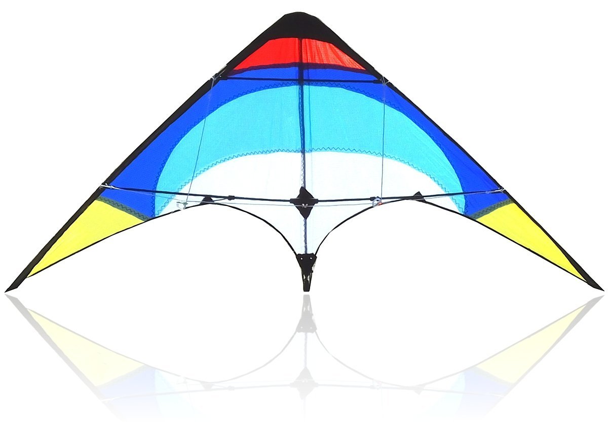 Cerf-volant Acrobatique 2 Lignes 120x60 Cm - Cadre Carbone - Parfait Pour Débutants - Pour Parc, Plage, Plein Air