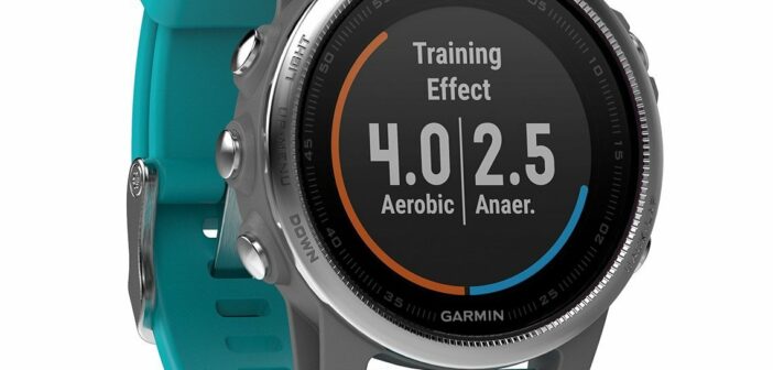 sportoza sport equipement montre garmin 5S Fenix